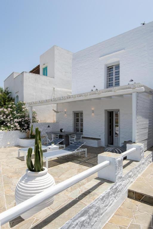 Nerites In Sifnos *